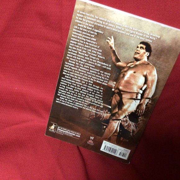 WRESTLING books. Ric Flair and Andre the Giant - Picture 5 of 5